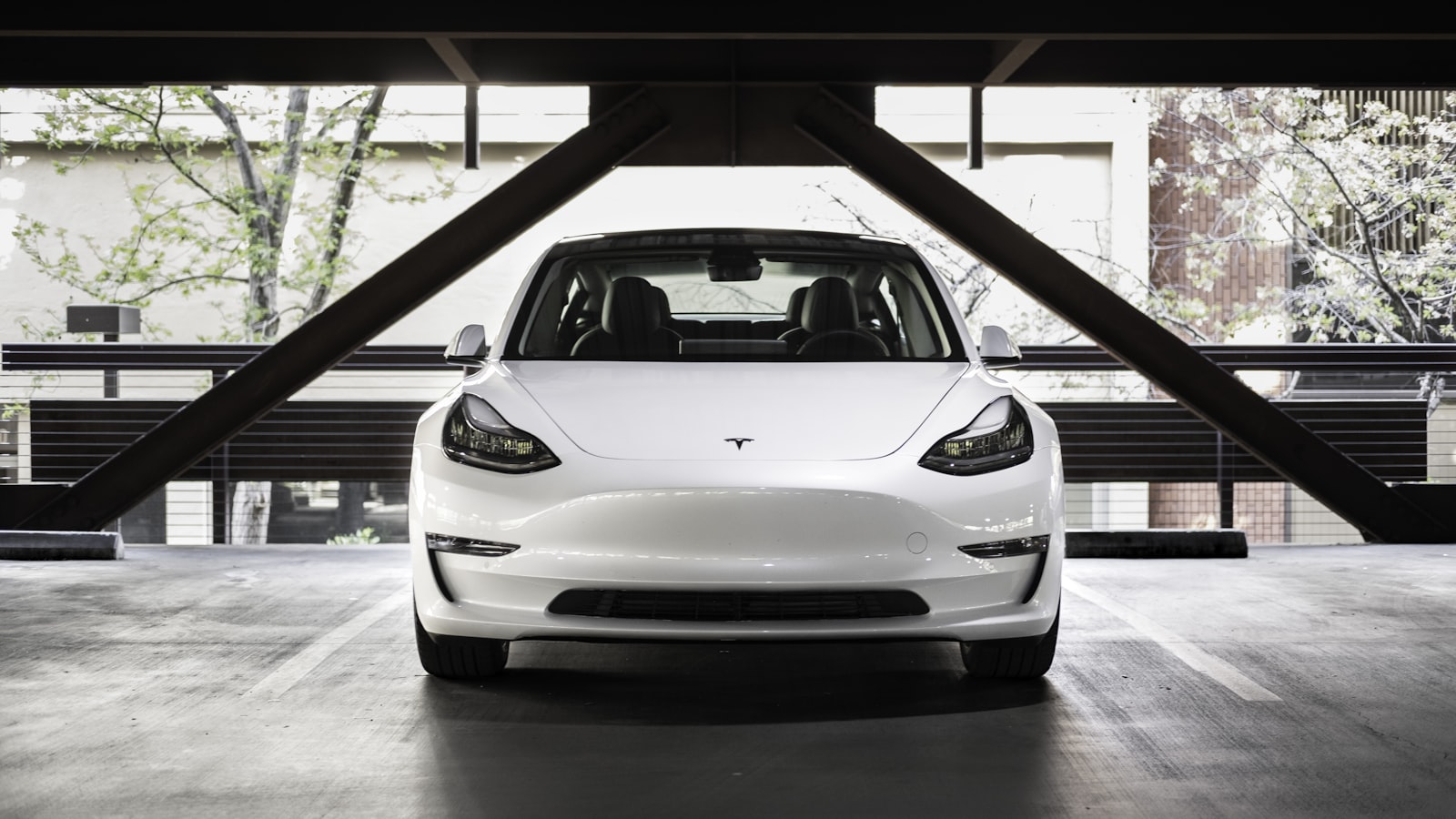 特斯拉Model Y Tesla Model Y