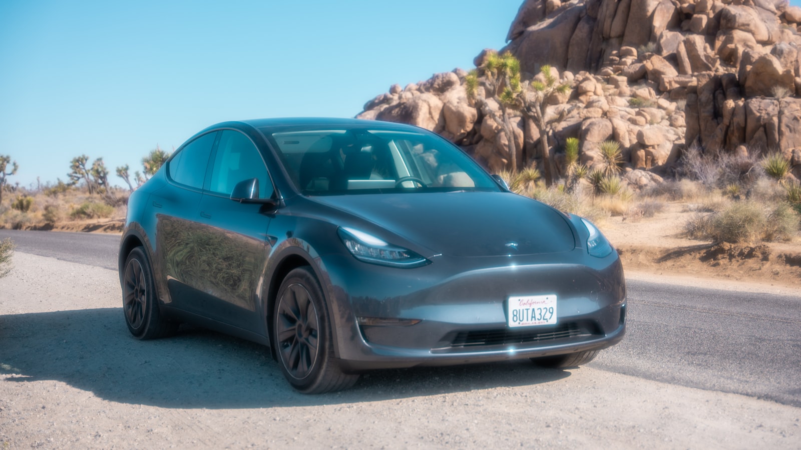 特斯拉Model Y Tesla Model Y
