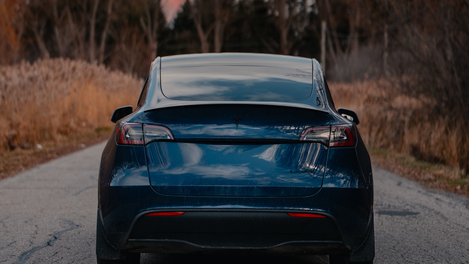特斯拉Model Y Tesla Model Y